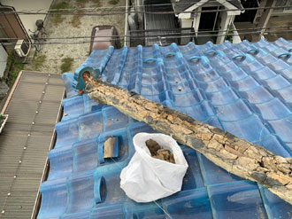 古い土は取り除きます