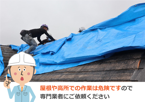 ブルーシートによる屋根の雨養生