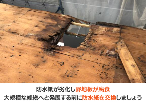 防水紙が劣化し野地板が腐食 防水紙が劣化し野地板が腐食