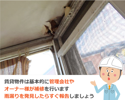 賃貸物件は基本的に管理会社やオーナー様が補修を行います　雨漏りを発見したらすぐ報告しましょう