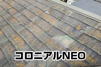 コロニアルNEO