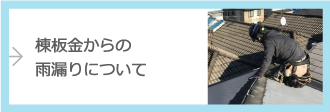 棟板金からの雨漏りについて