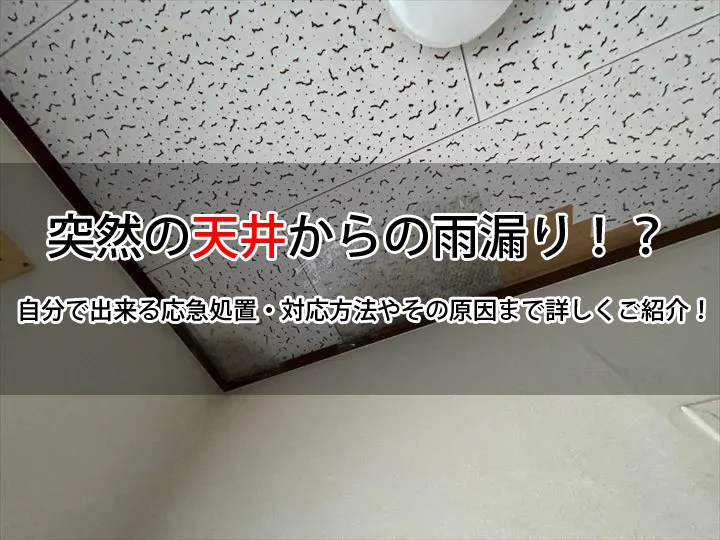 突然の天井からの雨漏り！？自分で出来る応急処置・対応方法やその原因まで詳しくご紹介！