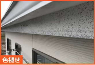 色褪せの見せる鼻隠し 色褪せの見せる鼻隠し