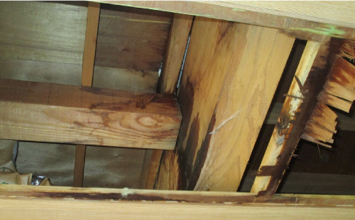 外壁材・内装材を剥がした目視点検 外壁材・内装材を剥がした目視点検