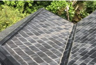 白華による白い帯状の汚染