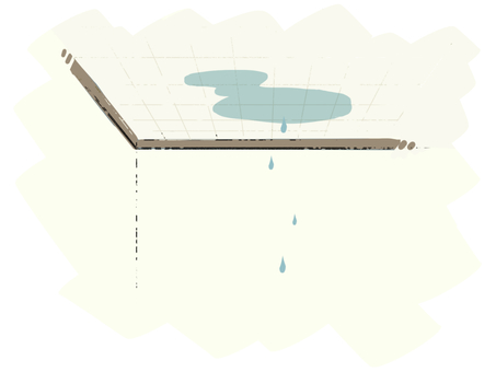 [都城市、宮崎県の方へ]屋根からの雨漏り時の応急処置について