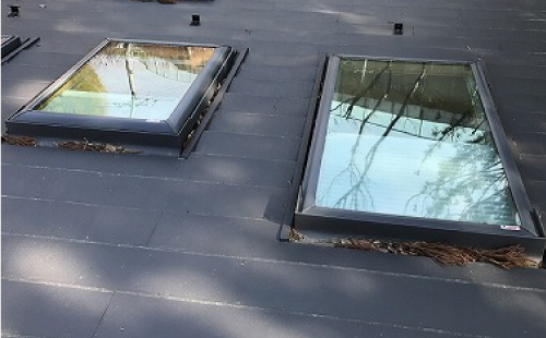 落ち葉が詰まった天窓