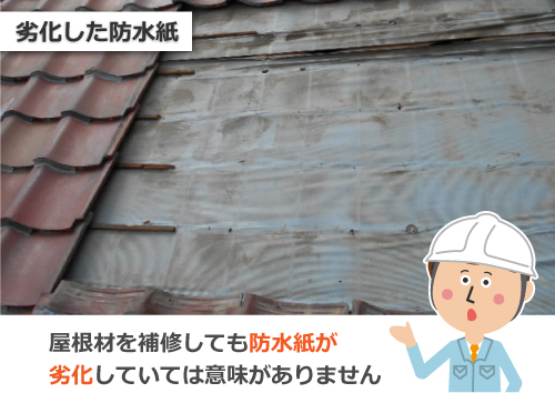 劣化した防水紙