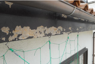 塗膜が剥がれた鼻隠し 塗膜が剥がれた鼻隠し