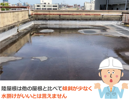 陸屋根に溜まった雨水