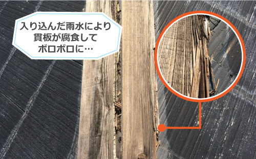 入り込んだ雨水により貫板が腐食