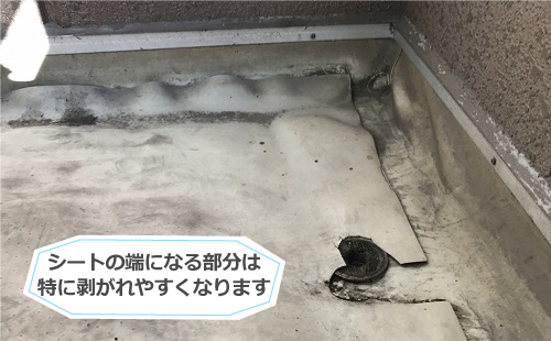 シートの端になる部分は特に剥がれやすくなっています シートの端になる部分は特に剥がれやすくなっています