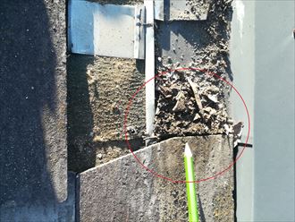 天窓と防水紙の取り合い部分には土埃が溜まっていました