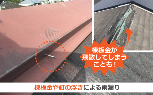 棟板金や釘の浮きによる雨漏り