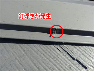 棟板金に発生した釘浮き