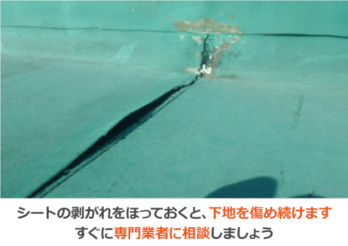 シートの剥がれをほっておくと、下地を痛め続けます シートの剥がれをほっておくと、下地を痛め続けます