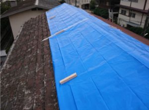 雨養生されたスレート屋根