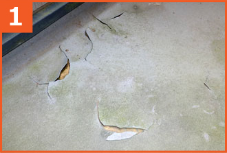 トップコートが剥がれ防水層が露出