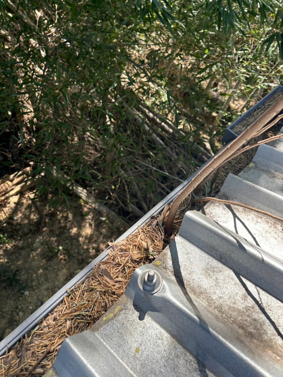 落ち葉で詰まってしまっている雨樋