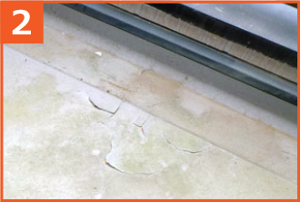 苔の繁殖したベランダ