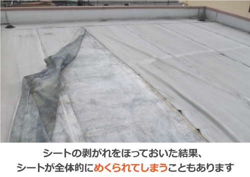 シートの剥がれをほっておいた結果、シートが全体的にめくれてしまう シートの剥がれをほっておいた結果、シートが全体的にめくれてしまう