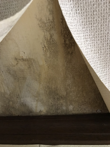 三島天井クロス剥がれ雨漏り