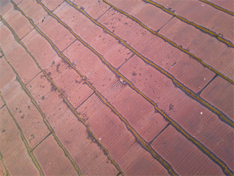 スレート屋根全体の劣化