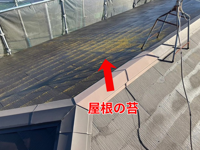 幸手市で屋根の苔を放置してはいけない理由！劣化した屋根はカバー工事で再生