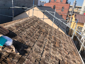 こちらがトントンです