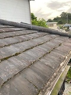 苔のひどいセメント平瓦