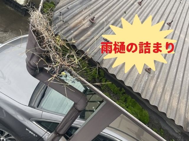 久喜市　雨樋　ゴミ　詰まり　溢れ
