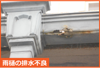 雨樋の割れから発生する雨漏り 雨樋の割れから発生する雨漏り