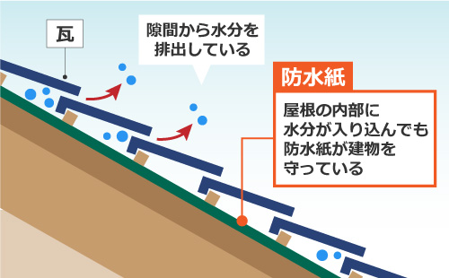 屋根の内部に水分が入り込んでも防水紙が建物を守っている