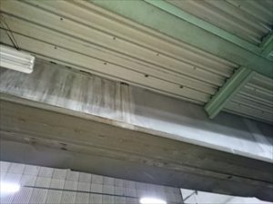 雨漏りを起こした倉庫の調査