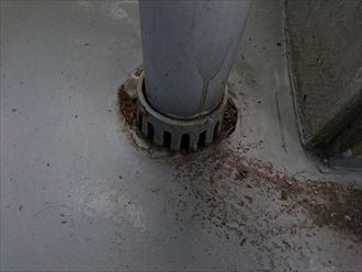 ベランダの排水口には汚れが溜まっていました