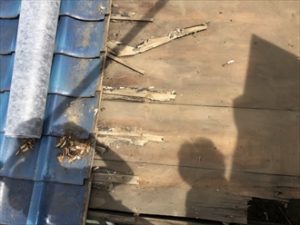 垂木は問題ないため野地板の補修を行います