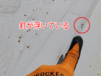 棟の釘が緩んでいる