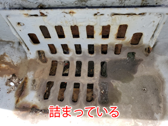 陸屋根の排水溝が詰まっている