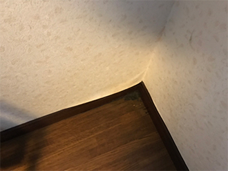 雨水のせいで歪んだ壁紙