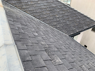 苔やカビのみえるスレート屋根