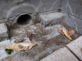 バルコニーの排水口も注意