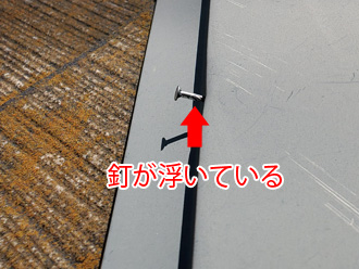棟板金の釘が浮いている