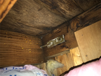 屋根裏の梁に雨染み