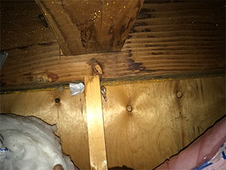 濃い雨染みのある屋根裏