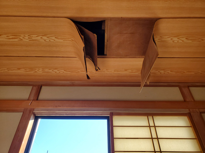 天井からの雨漏り
