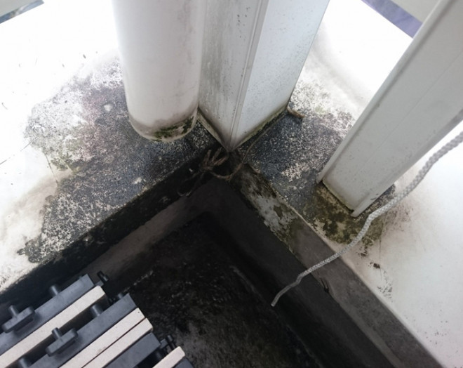 横浜市泉区和泉町のバルコニー雨漏りからウレタン防水工事（通気緩衝工法）をご提案しました