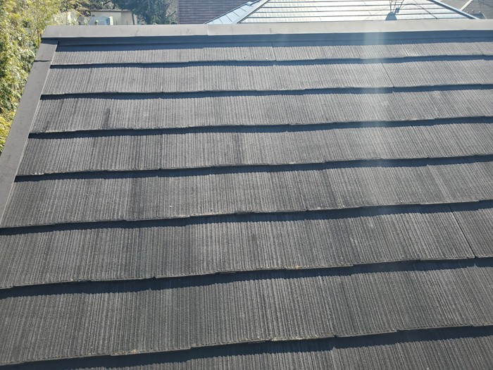 棟板金の交換工事前