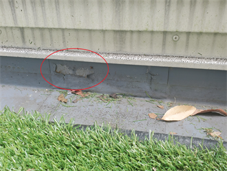 シート防水表面の剥がれ