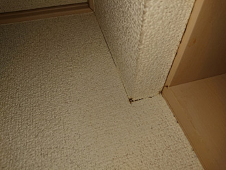 屋内の雨漏り状況